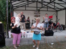 falunap2013_226_20180901
